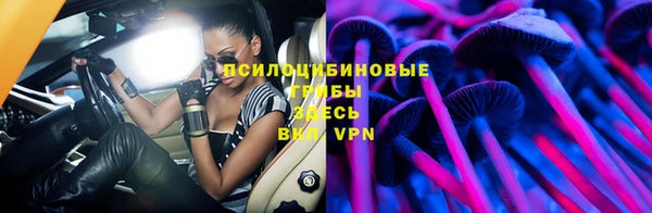 прущие грибы Богданович
