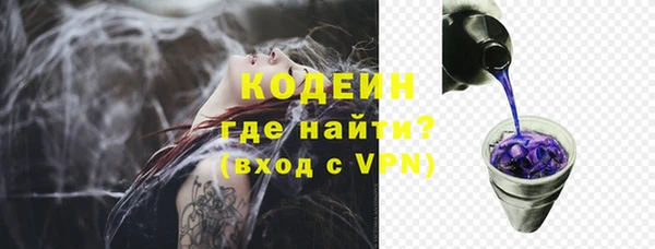 прущие грибы Богданович