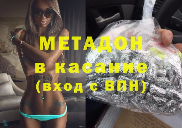 прущие грибы Богданович