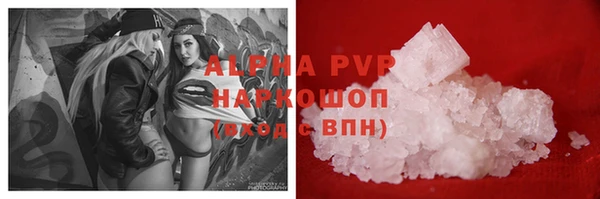 прущие грибы Богданович