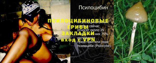 крисы Богородск