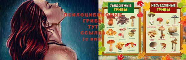 марки nbome Бородино