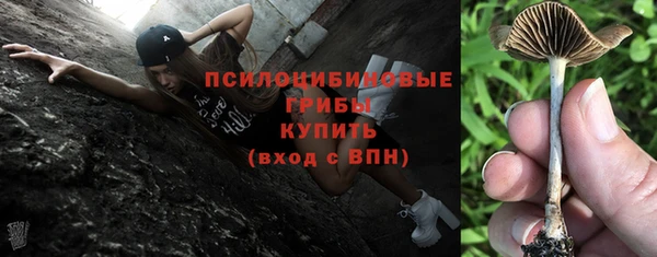 крисы Богородск