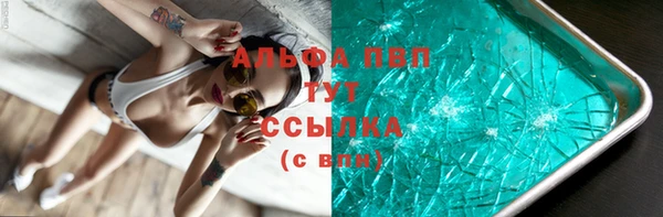 прущие грибы Богданович